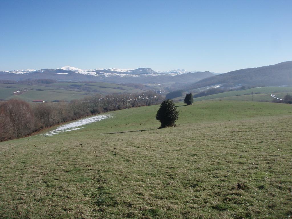 Casa Rural Irugoienea Espinal-Auzperri Bagian luar foto