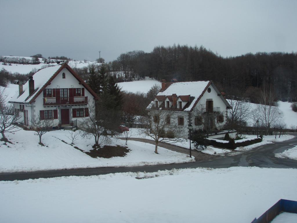 Casa Rural Irugoienea Espinal-Auzperri Bagian luar foto