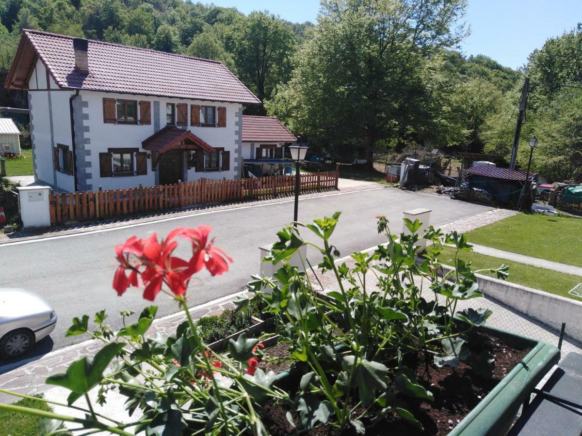 Casa Rural Irugoienea Espinal-Auzperri Bagian luar foto